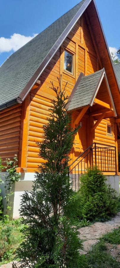 Zlatair Chalets Villa Nova Varoš Exterior foto